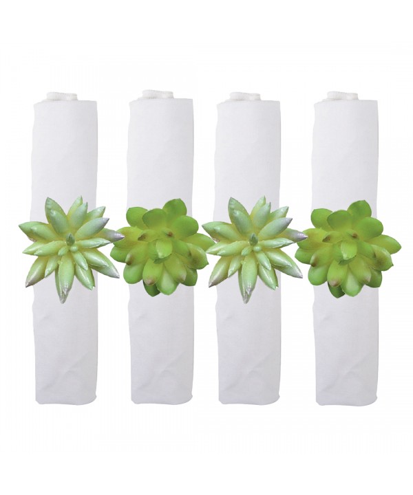 LOT DE 4 RONDS DE SERVIETTES PLANTES GRASSES