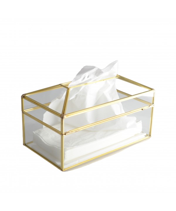 GOLDEN TISSUE BOX 19X11X10CM